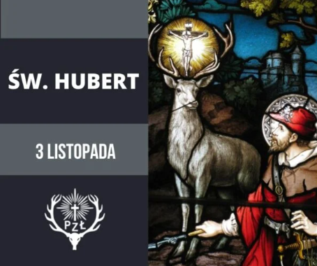 ZAJĘCIA PRZYRODNICZE