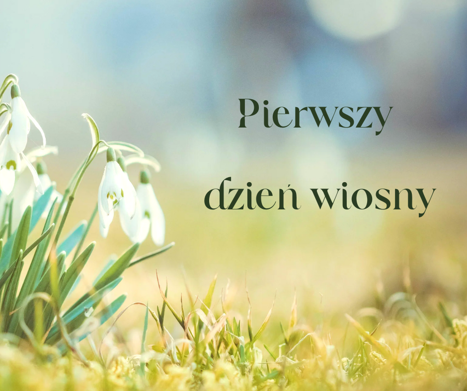 🌸WIOSENNE KONKURSY🌸